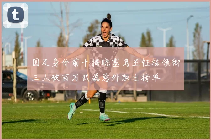 国足身价前十揭晓塞鸟王钰栋领衔三人破百万武磊意外跌出榜单