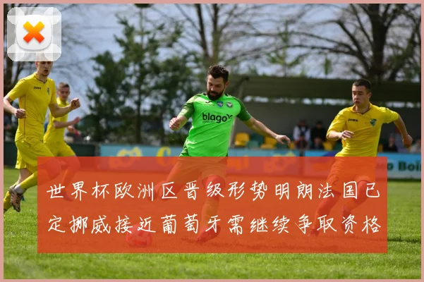 世界杯欧洲区晋级形势明朗法国已定挪威接近葡萄牙需继续争取资格