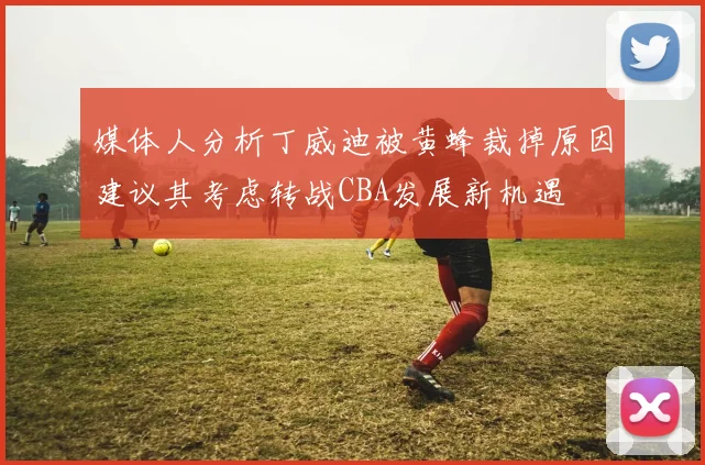 媒体人分析丁威迪被黄蜂裁掉原因建议其考虑转战CBA发展新机遇
