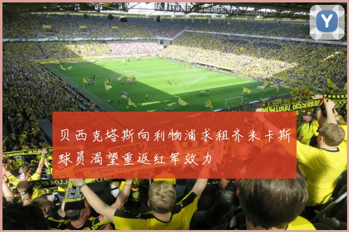 贝西克塔斯向利物浦求租齐米卡斯球员渴望重返红军效力