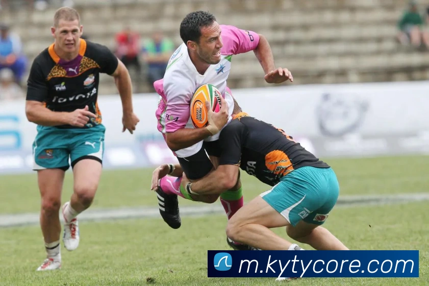 开云体育服务体系